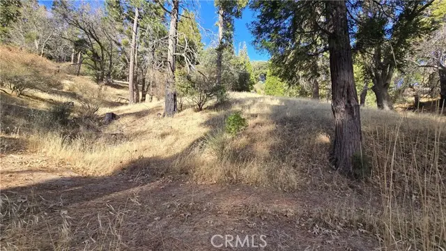 #3