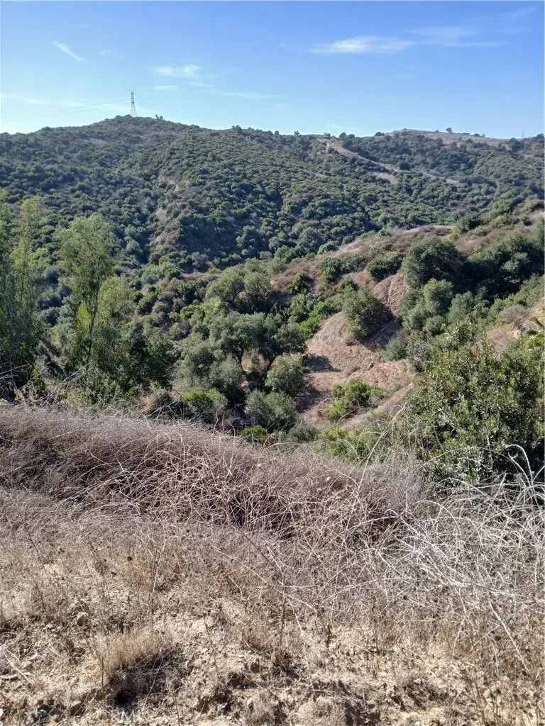 16766 Sunset, Chino Hills, CA 91709 - Image #2