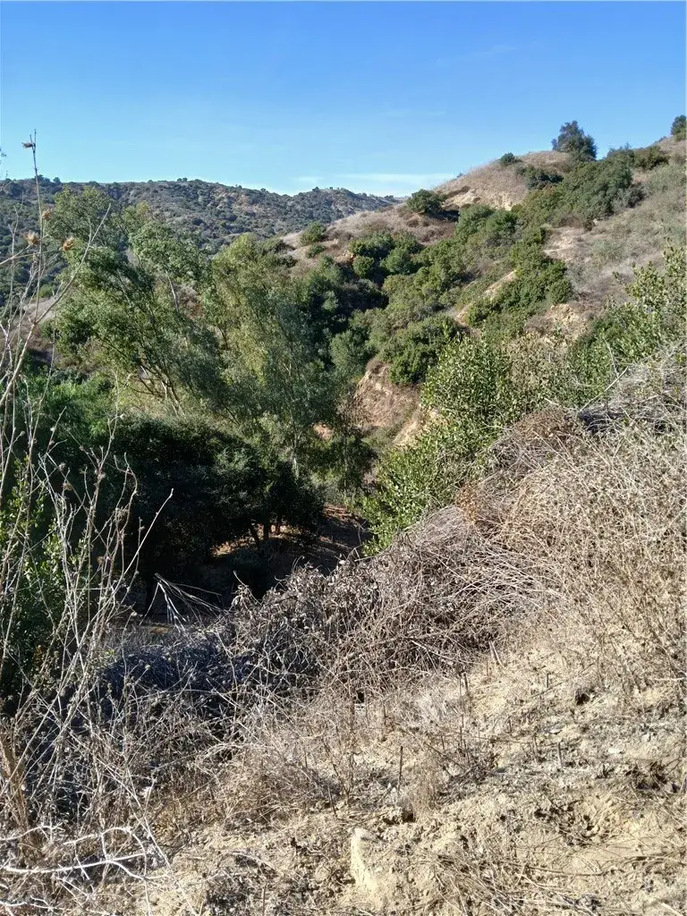 16766 Sunset, Chino Hills, CA 91709 - Image #3