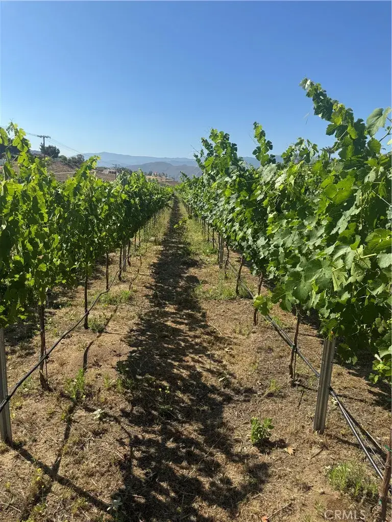 36191 Summit Cr, Temecula, CA 92592 - Image #3