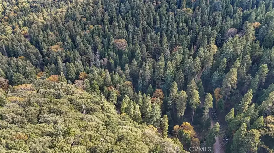 5 Deer Run, Cedarpines Park, CA 92322 - Image #2