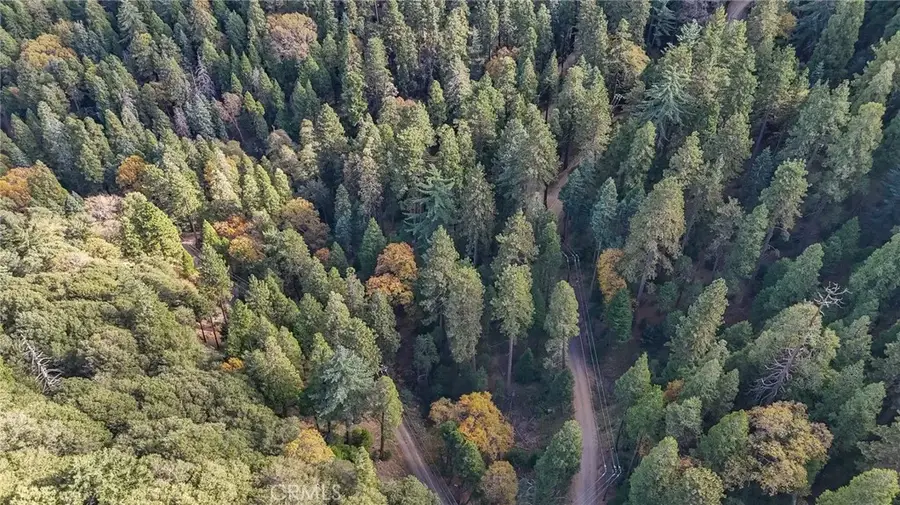 5 Deer Run, Cedarpines Park, CA 92322 - Image #3