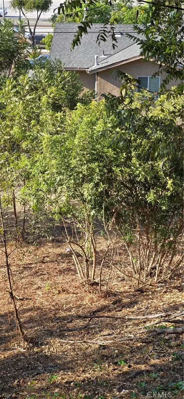 3717 Woolwine, East Los Angeles, CA 90063 - Image #3