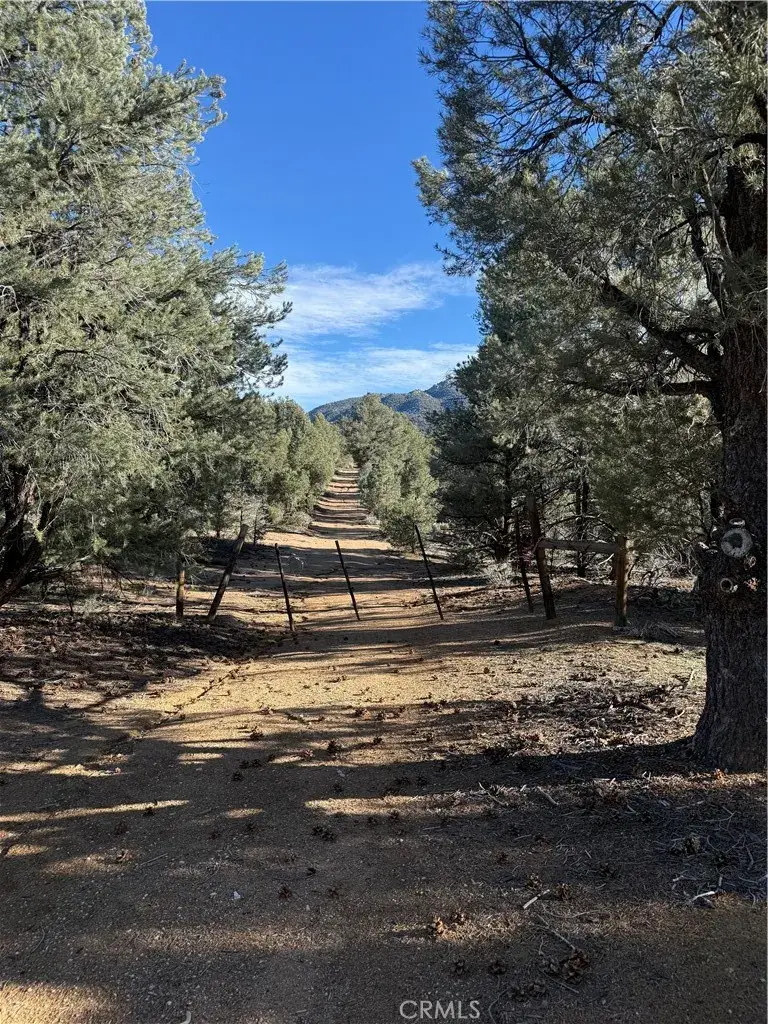 0 310-190-028 Sacatar Ranch, East Kern, CA 93527 - Image #2