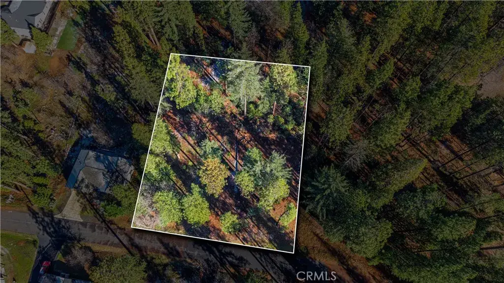 434 Bird Dog, Avery, CA 95224 - Image #1