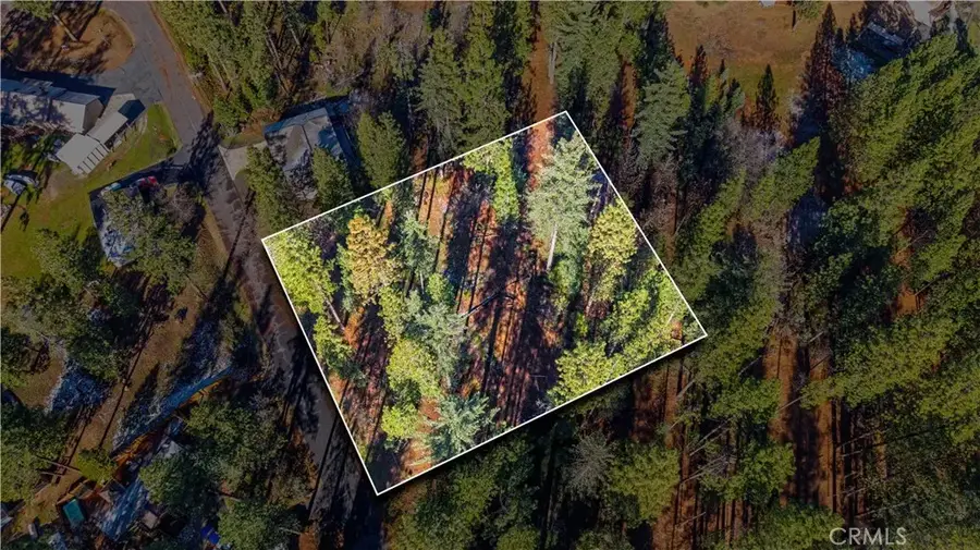 434 Bird Dog, Avery, CA 95224 - Image #3