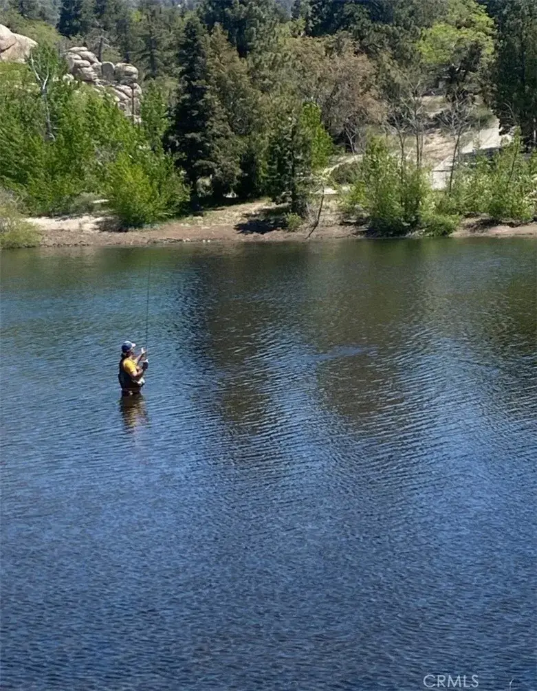 33303 Lake View Drive, Running Springs, CA 92382 - #2