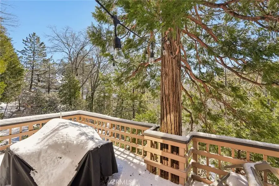 27403 Alpen Drive, Lake Arrowhead, CA 92352 - #3