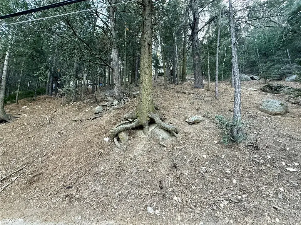 0 Scenic View, Crestline, CA 92325 - #1