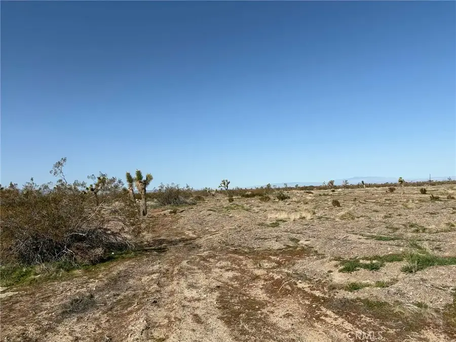 0 116th St E, South Antelope Valley, CA 93543 - #2