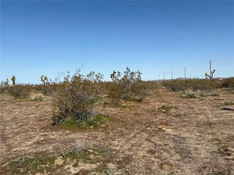 0 116th St E, South Antelope Valley, CA 93543 - #3