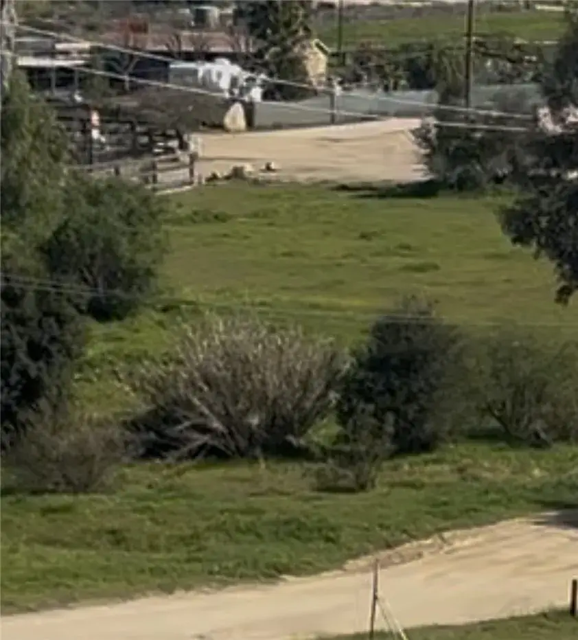 24847 Orange St, Wildomar, CA 92584 - #3