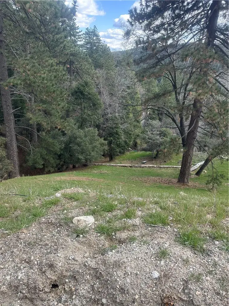 0 Fern Canyon, Cedarpines Park, CA 92322 - #1