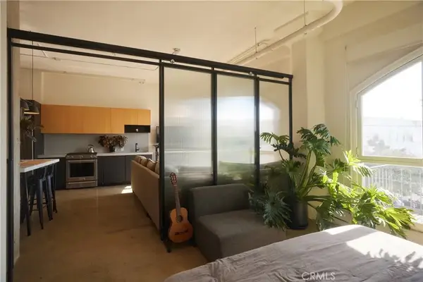 315 E 8th Street #205, Los Angeles, CA 90014