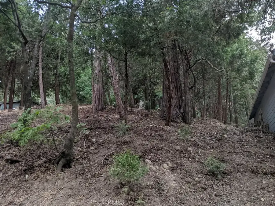 0 Wildwood, Crestline, CA 92325 - #3