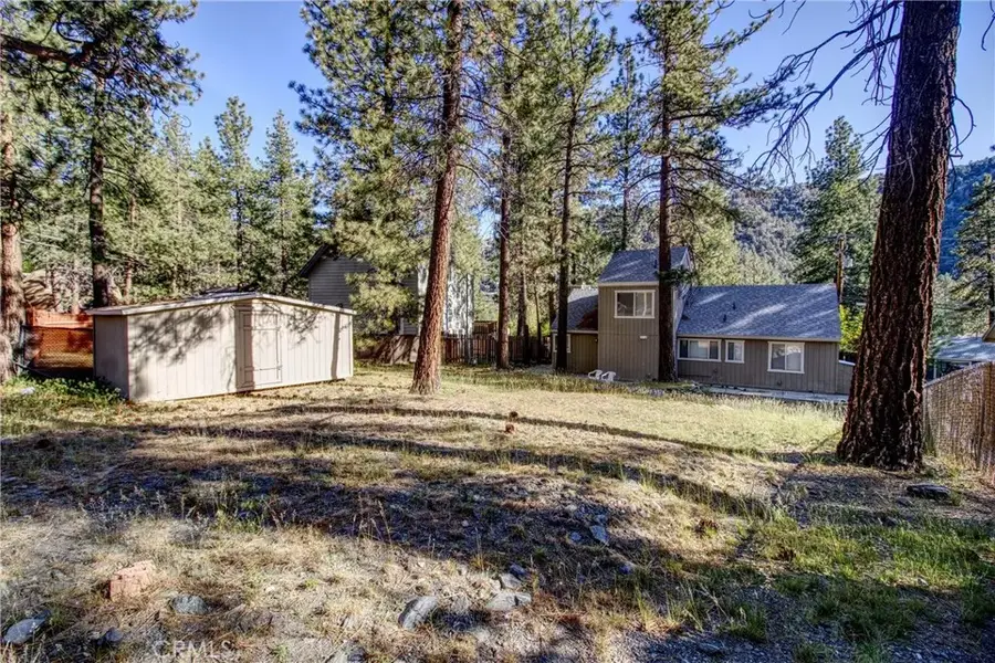 1219 Irene, Wrightwood, CA 92397 - #3