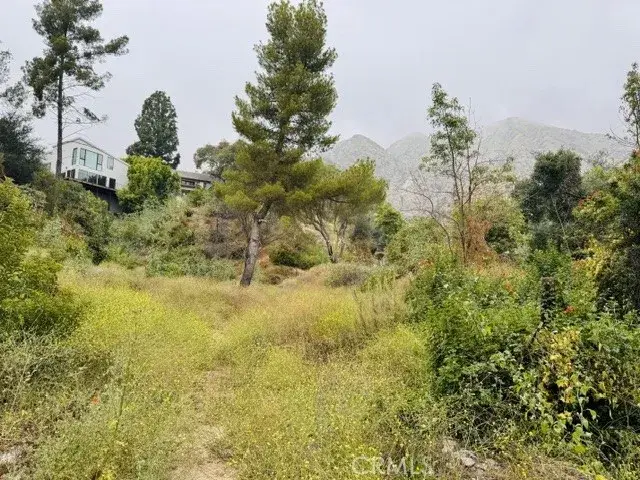 333 Wistaria, Sierra Madre, CA 91024 - #3
