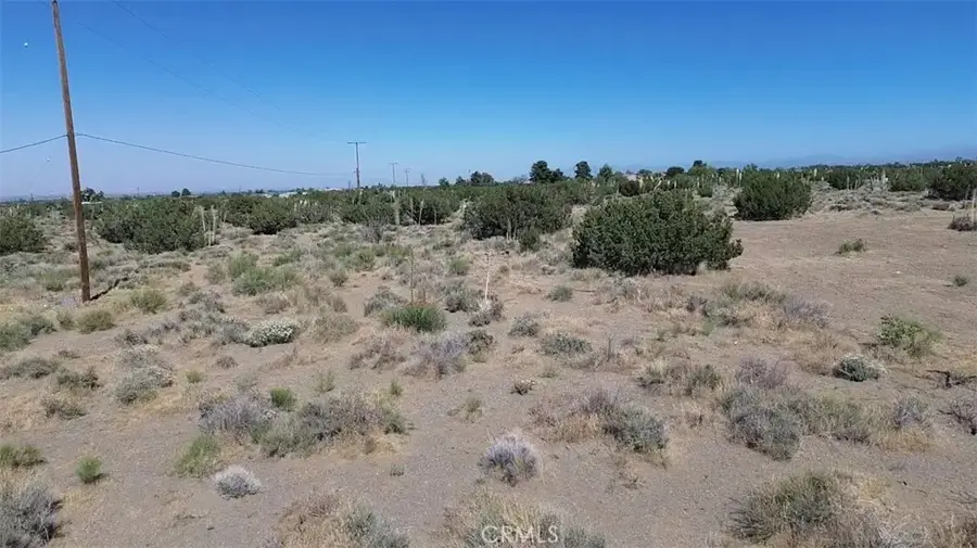 0 Coyote / Pionero, Pinon Hills, CA 92372 - #2