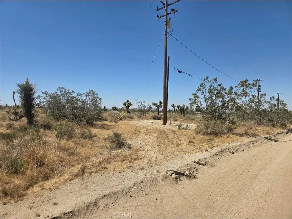11524 Wintergreen Rd, Pinon Hills, CA 92372 - #1