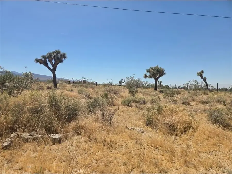 11524 Wintergreen Rd, Pinon Hills, CA 92372 - #2