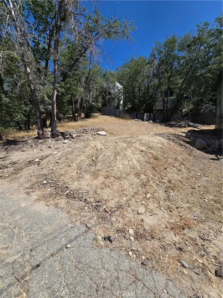 33460 Lakeview, Running Springs, CA 92382 - #2