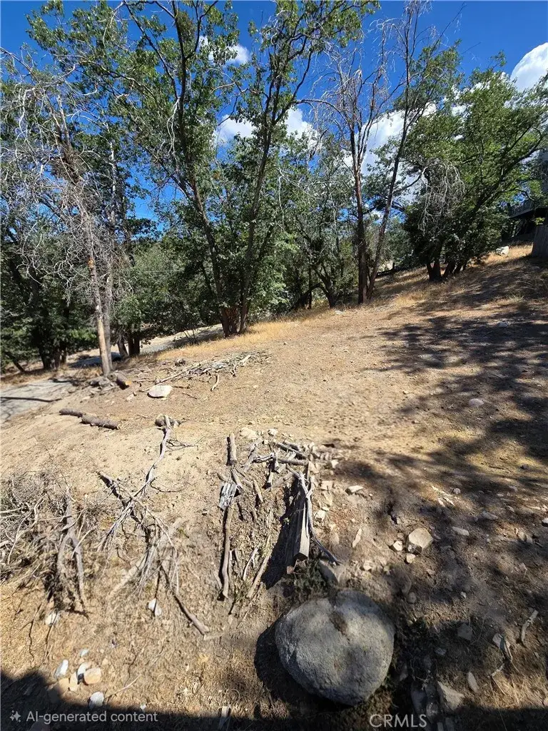 33460 Lakeview, Running Springs, CA 92382 - #3