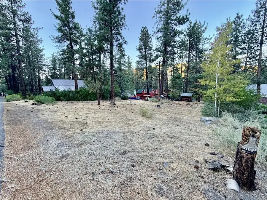 1322 Edna, Wrightwood, CA 92397 - #2
