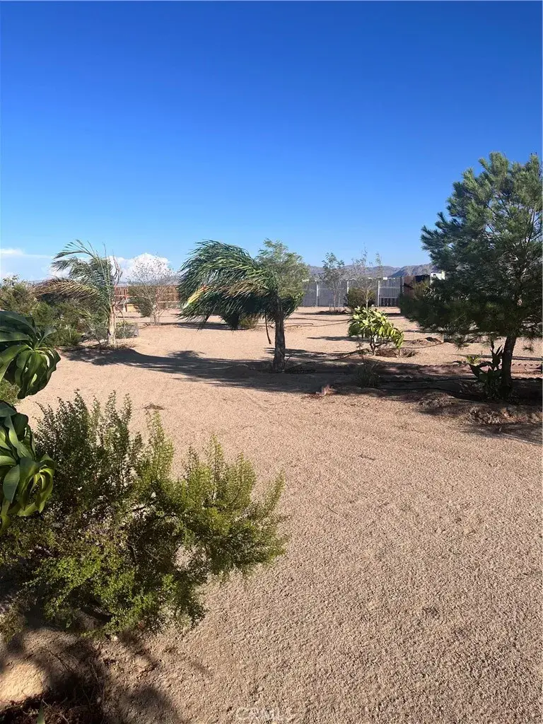 3423 Canyon Rd, Twentynine Palms, CA 92277 - #1