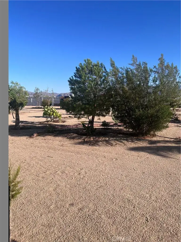 3423 Canyon Rd, Twentynine Palms, CA 92277 - #3