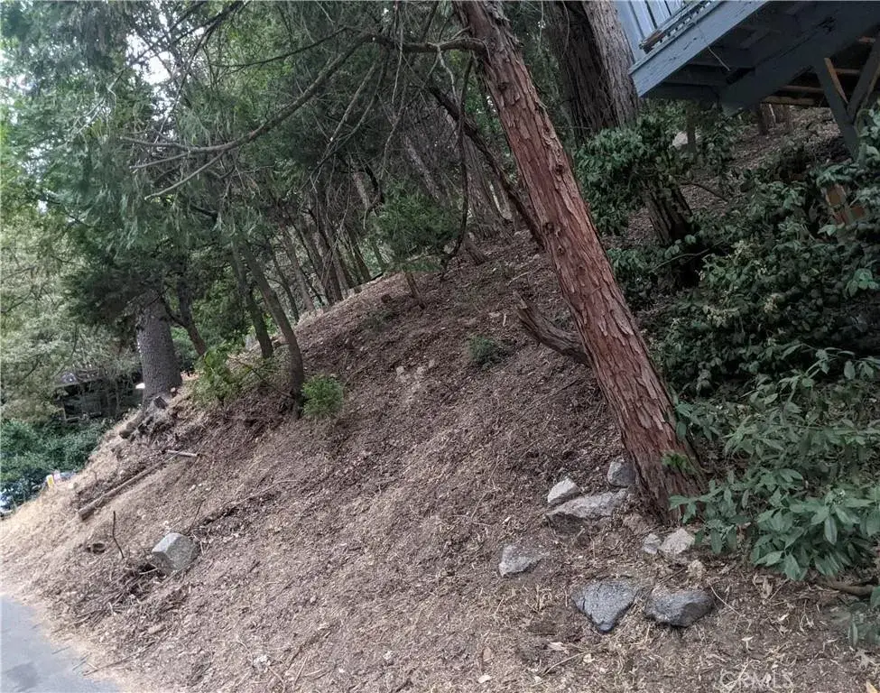 0 Wildwood, Crestline, CA 92325 - #1