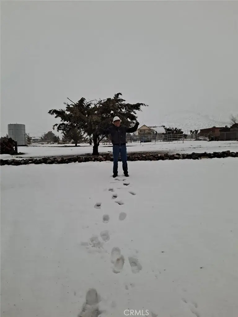 0 Vac/longview Rd/vic Murphys, Juniper Hills, CA 93543 - Image #1