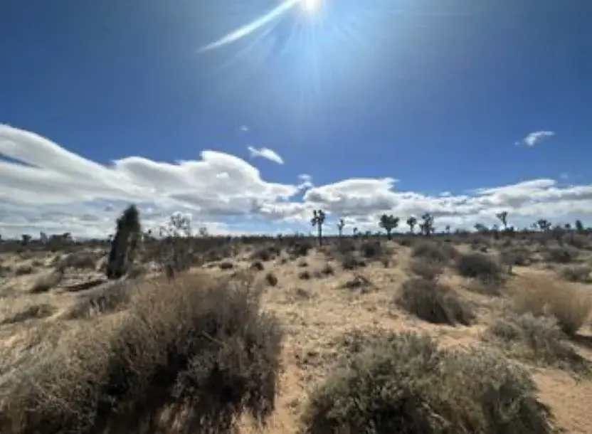 1 Sunny Sands, Yucca Valley, CA 92284 - #1