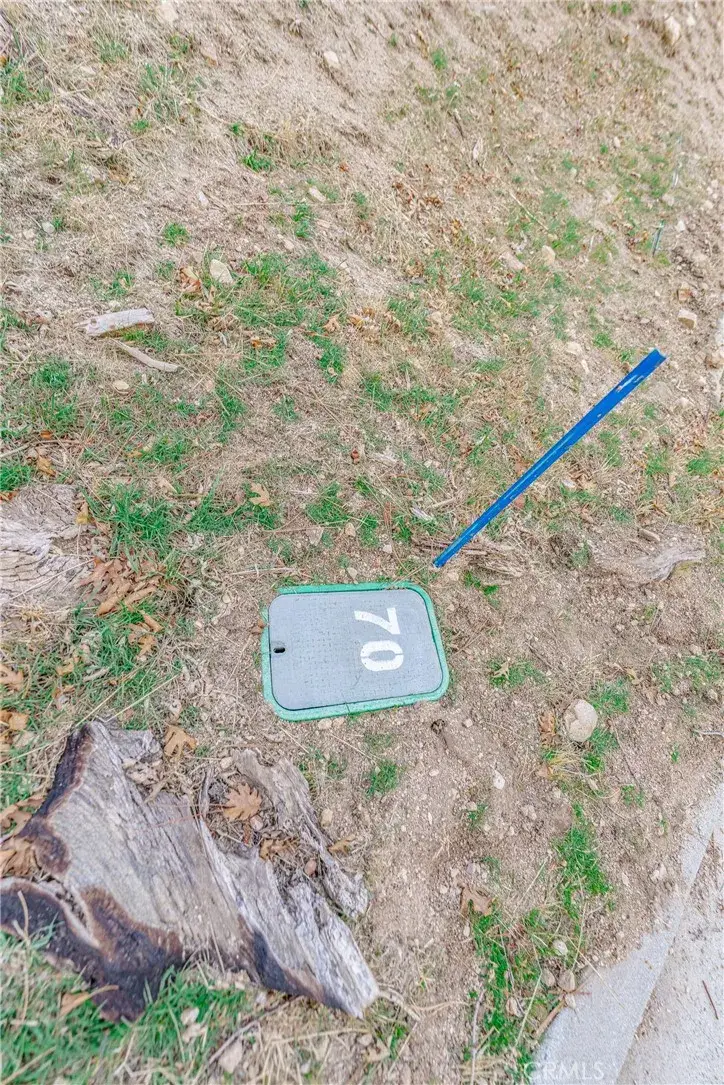 70 Panorama, Running Springs, CA 92382 - #2