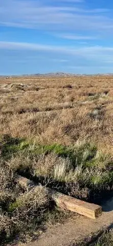 1 Vac/ave C10/vic 65 Stw, Lancaster, CA 93536 - #1