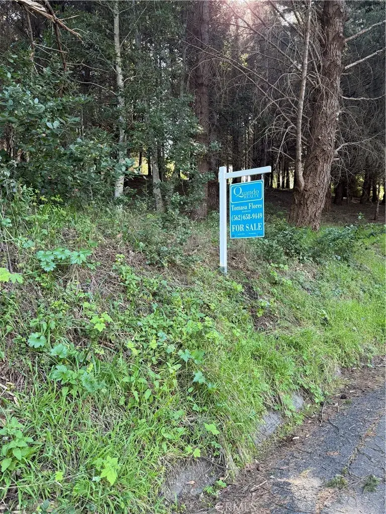 767 Spring, Shelter Cove, CA 95589 - #1