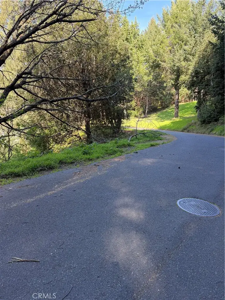 767 Spring, Shelter Cove, CA 95589 - #2