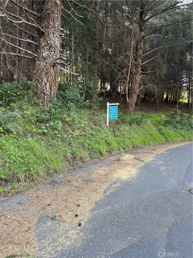 767 Spring, Shelter Cove, CA 95589 - #3