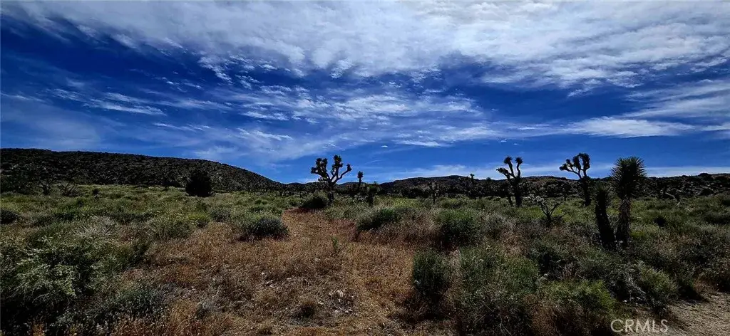 8900 Bainard Canyon, Palmdale, CA 93550 - #1