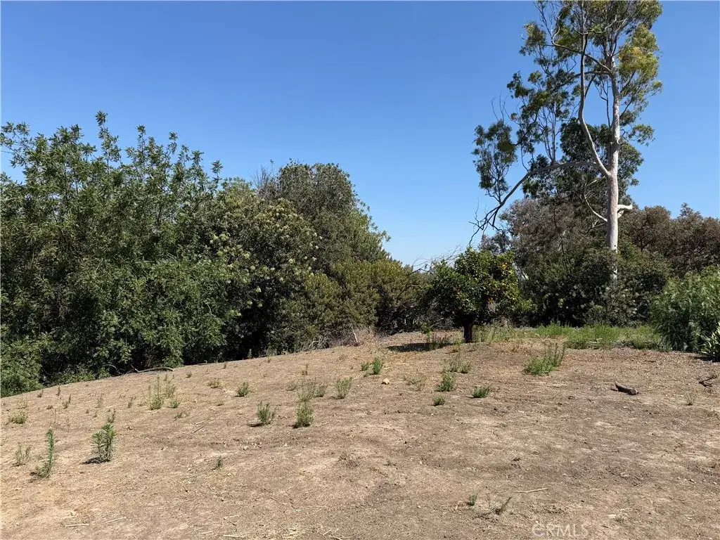 0 Papaya, La Habra Heights, CA 90631 - #1
