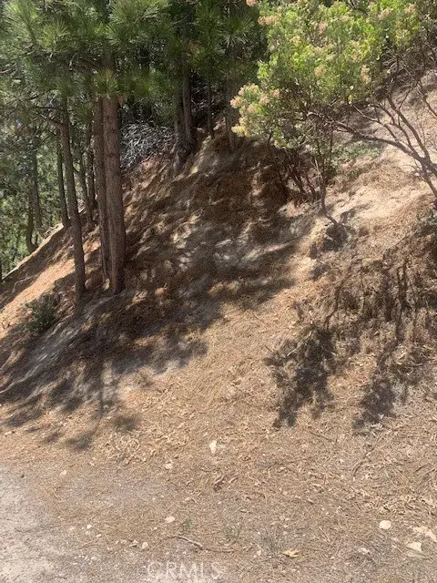 27346 N Bay Rd, Lake Arrowhead, CA 92352 - #2