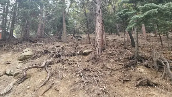 60 Lausanne, Crestline, CA 92325