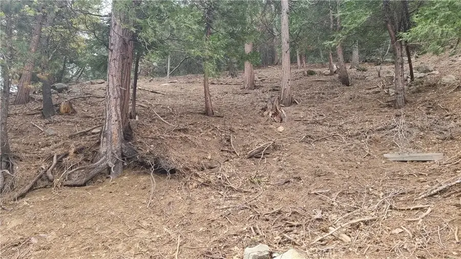 60 Lausanne, Crestline, CA 92325 - Image #2