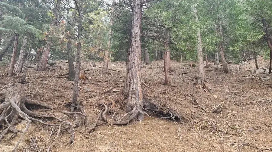 60 Lausanne, Crestline, CA 92325 - Image #3