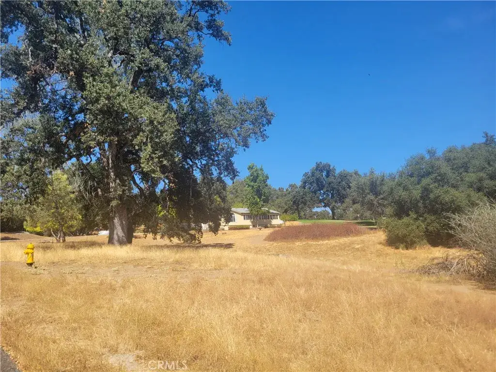 1 Griffin, Oakhurst, CA 93644 - #1