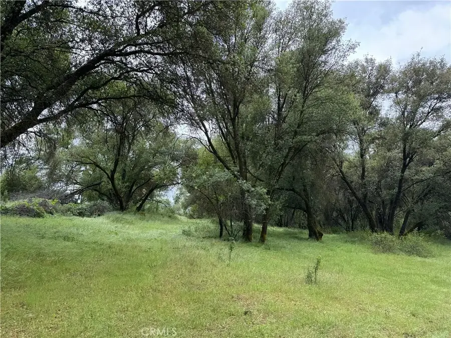 4516 Hirsch, Mariposa, CA 95338 - Image #2