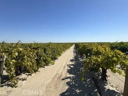 1 S Bishop, Kerman, CA 93630 - Image #3