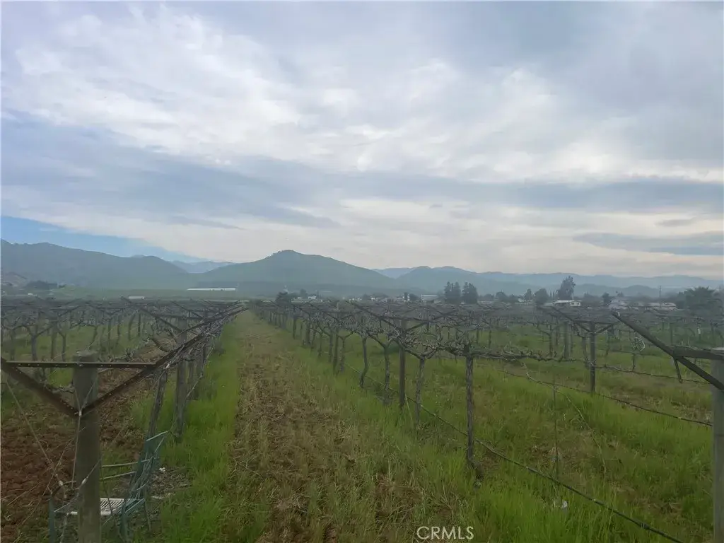 0 E Olive, Porterville, CA 93257 - #1