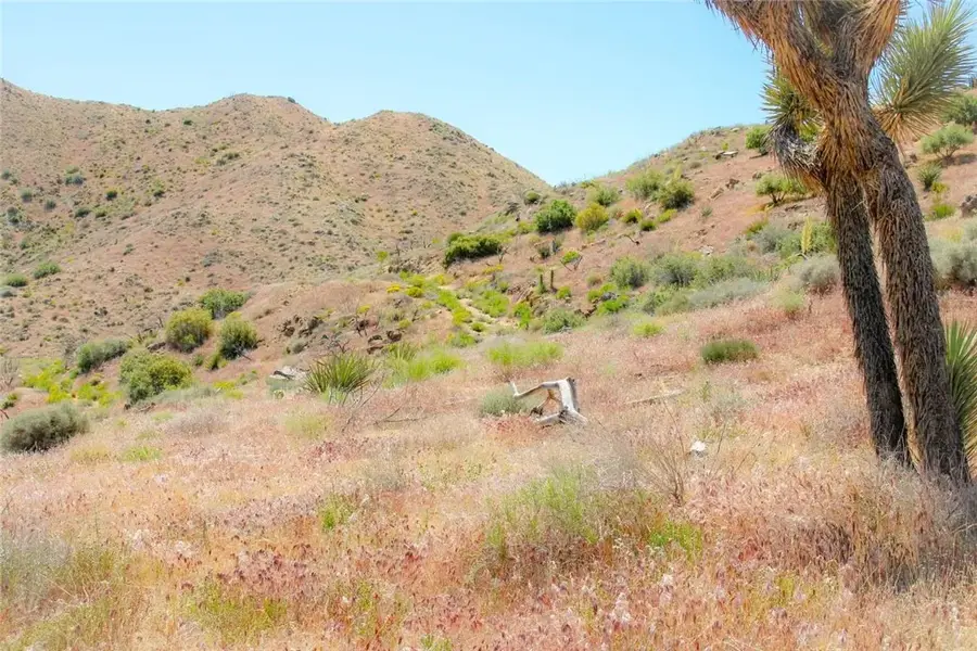 56363 Eagles Nest, Yucca Valley, CA 92284 - #2