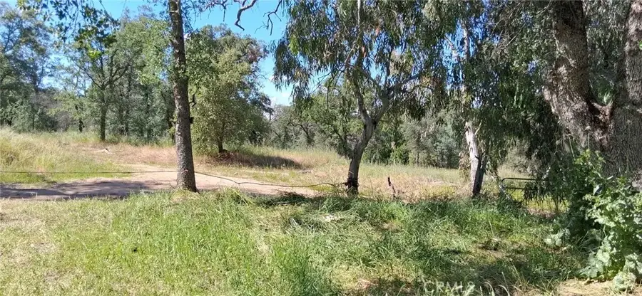 35778 Wells Road, Coarsegold, CA 93614 - #2