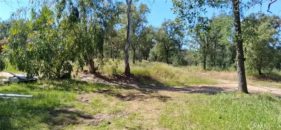 35778 Wells Road, Coarsegold, CA 93614 - #3